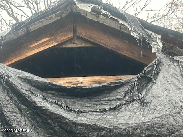 633 Mckinley Avenue Image 5