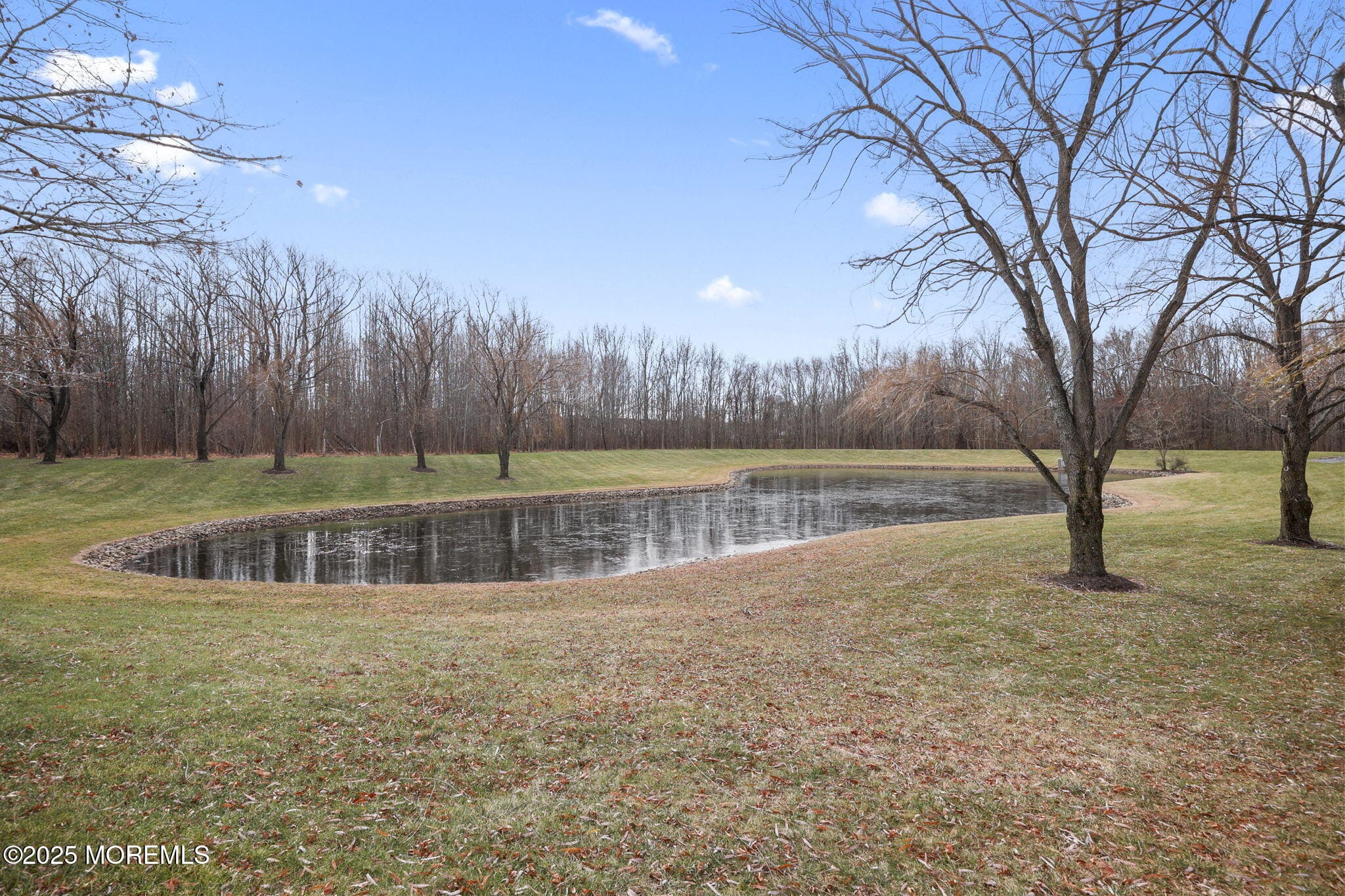 10 Pink Star Court, Manalapan, NJ, 07726 image 29