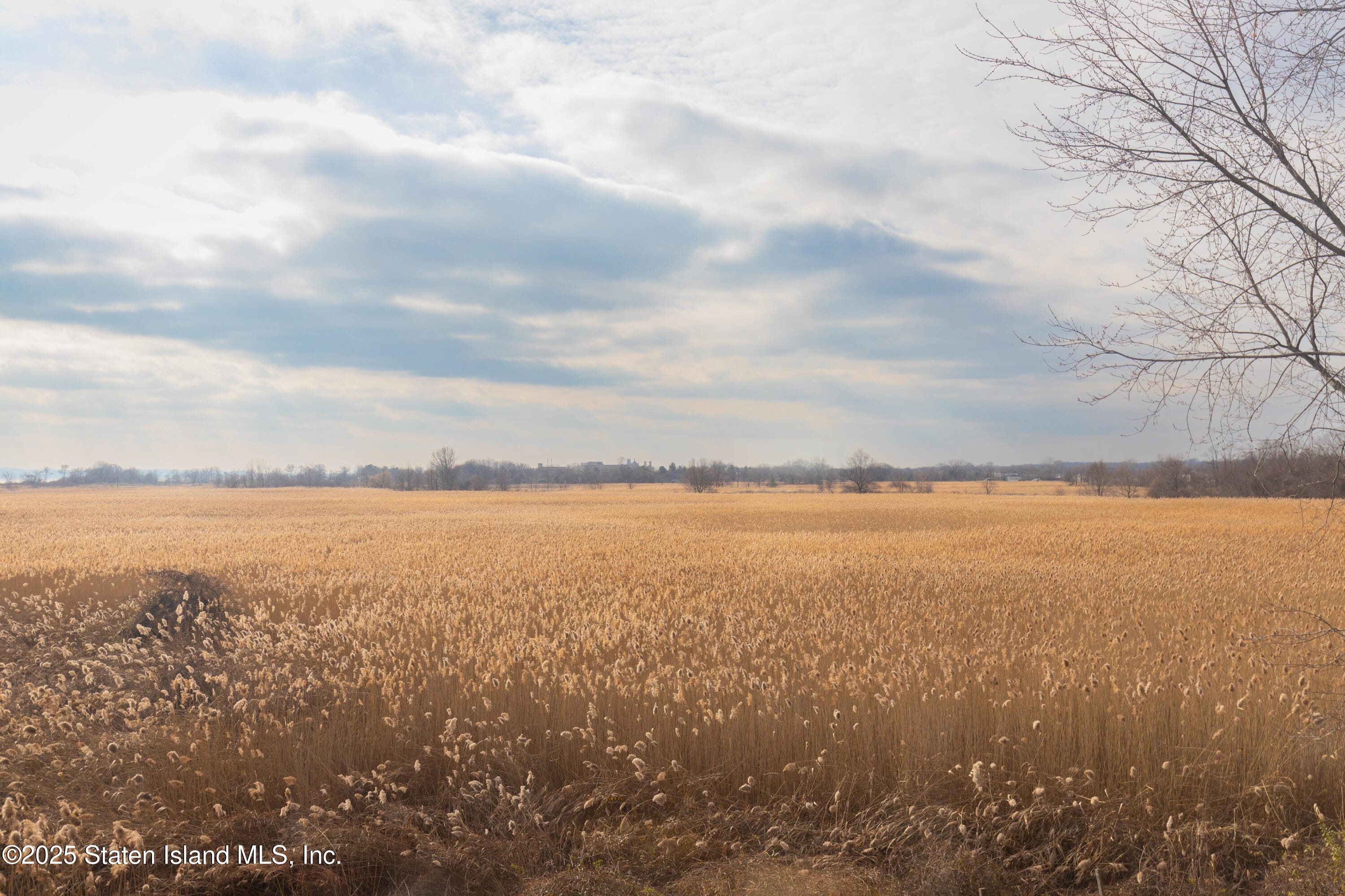 872 Tysens Lane, Staten Island, NY, 10306 image 27