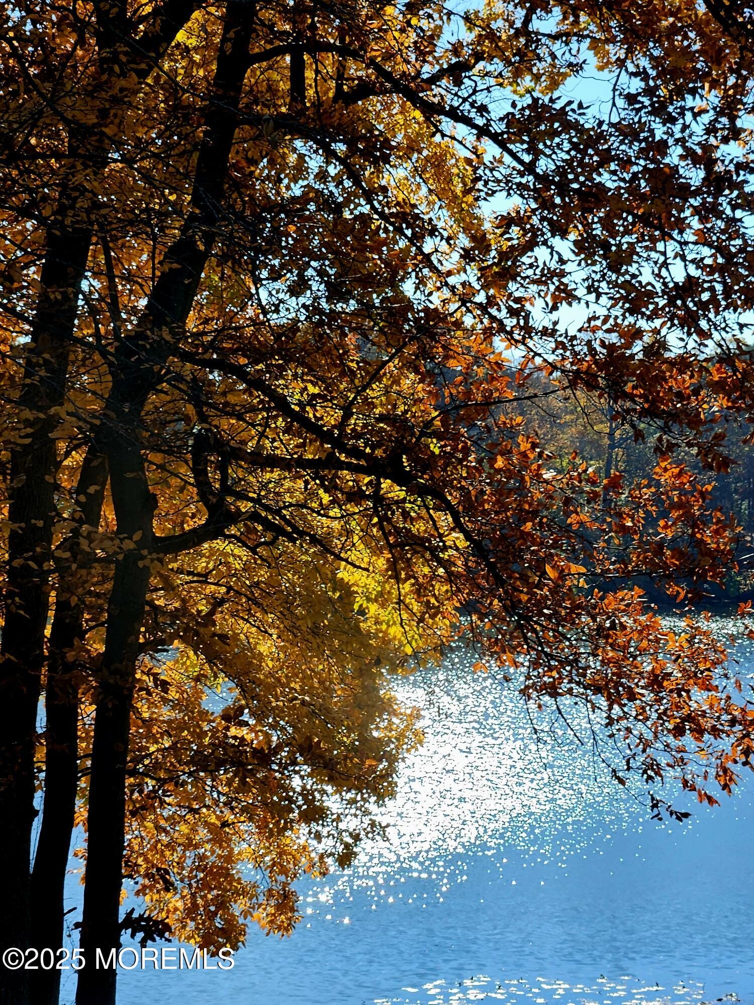 3 Auburn Court, Red Bank, NJ, 07701 image 50