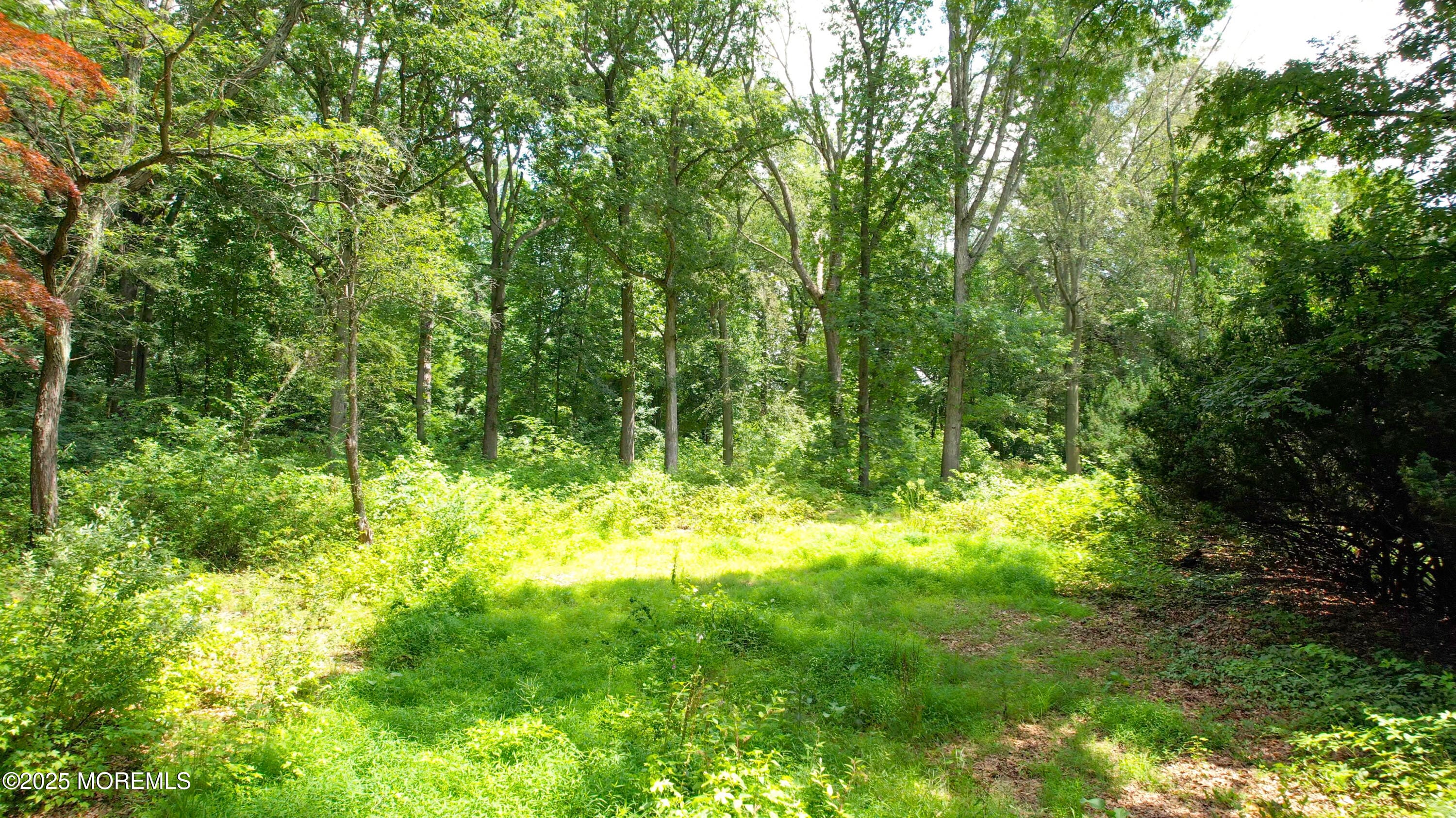 169 Applegarth Road, Monroe, NJ, 08831 image 35