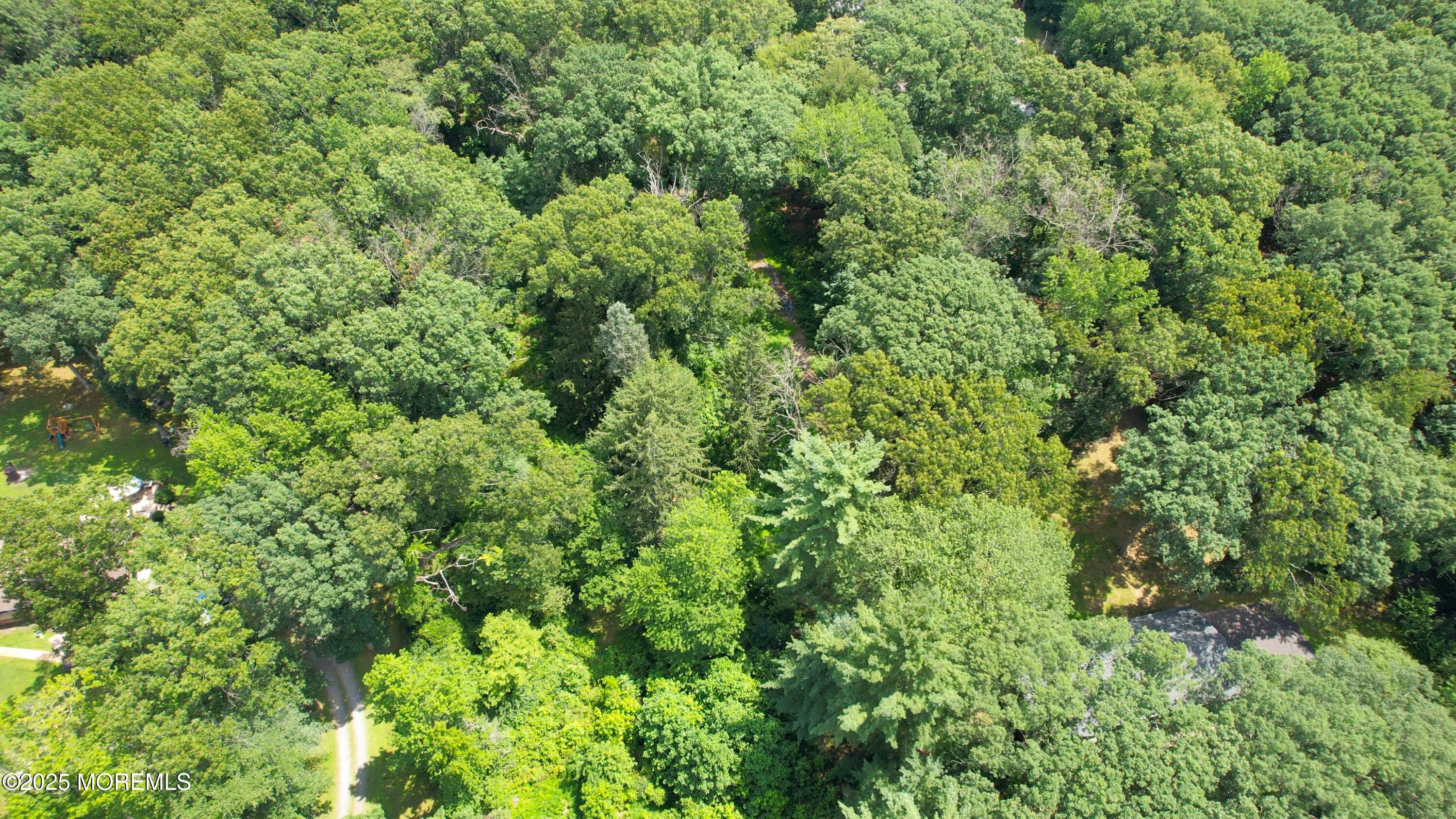 169 Applegarth Road, Monroe, NJ, 08831 image 36