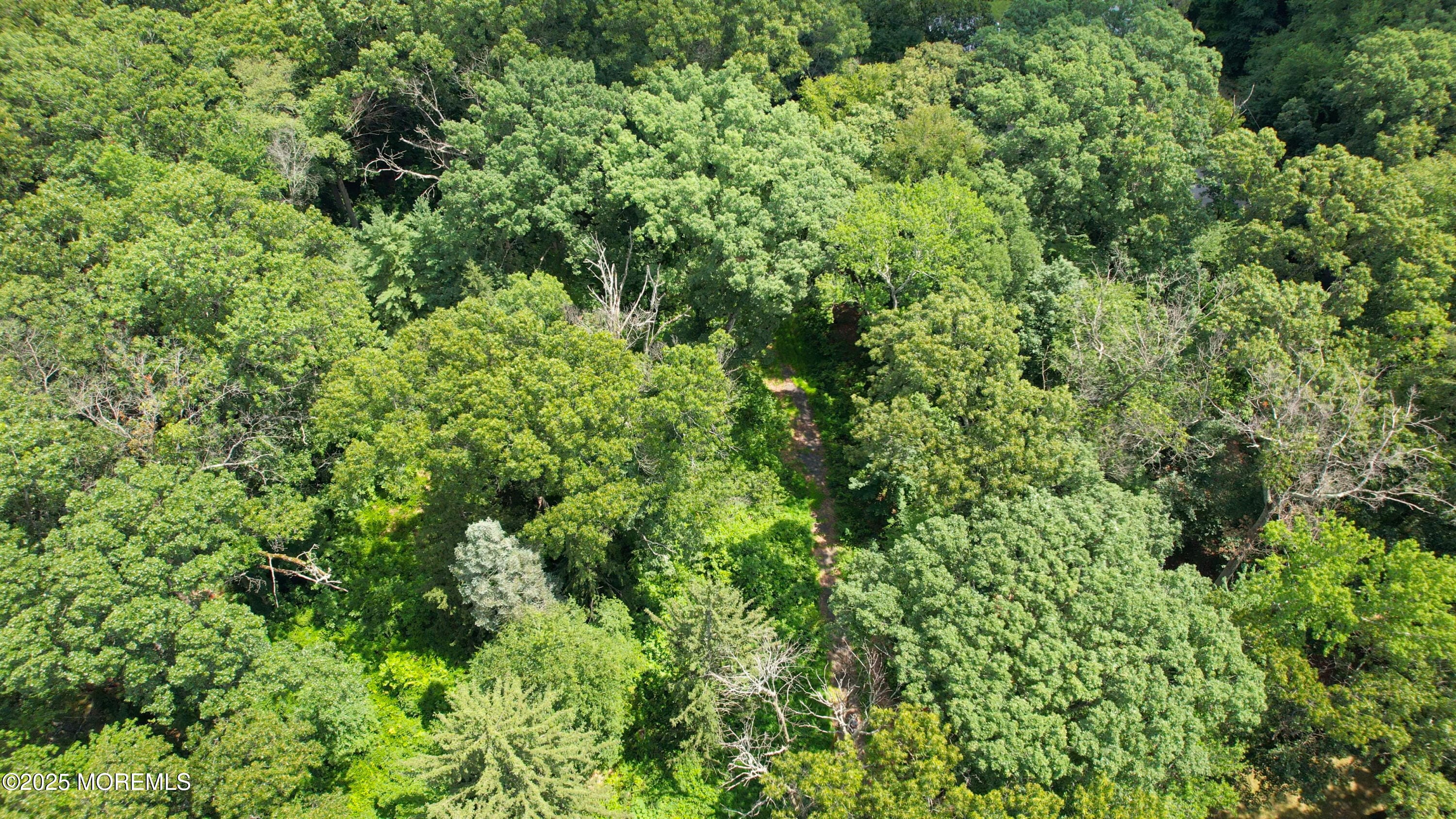 169 Applegarth Road, Monroe, NJ, 08831 image 37