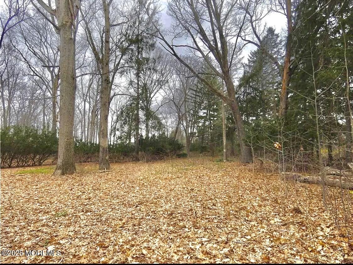 169 Applegarth Road, Monroe, NJ, 08831 image 38