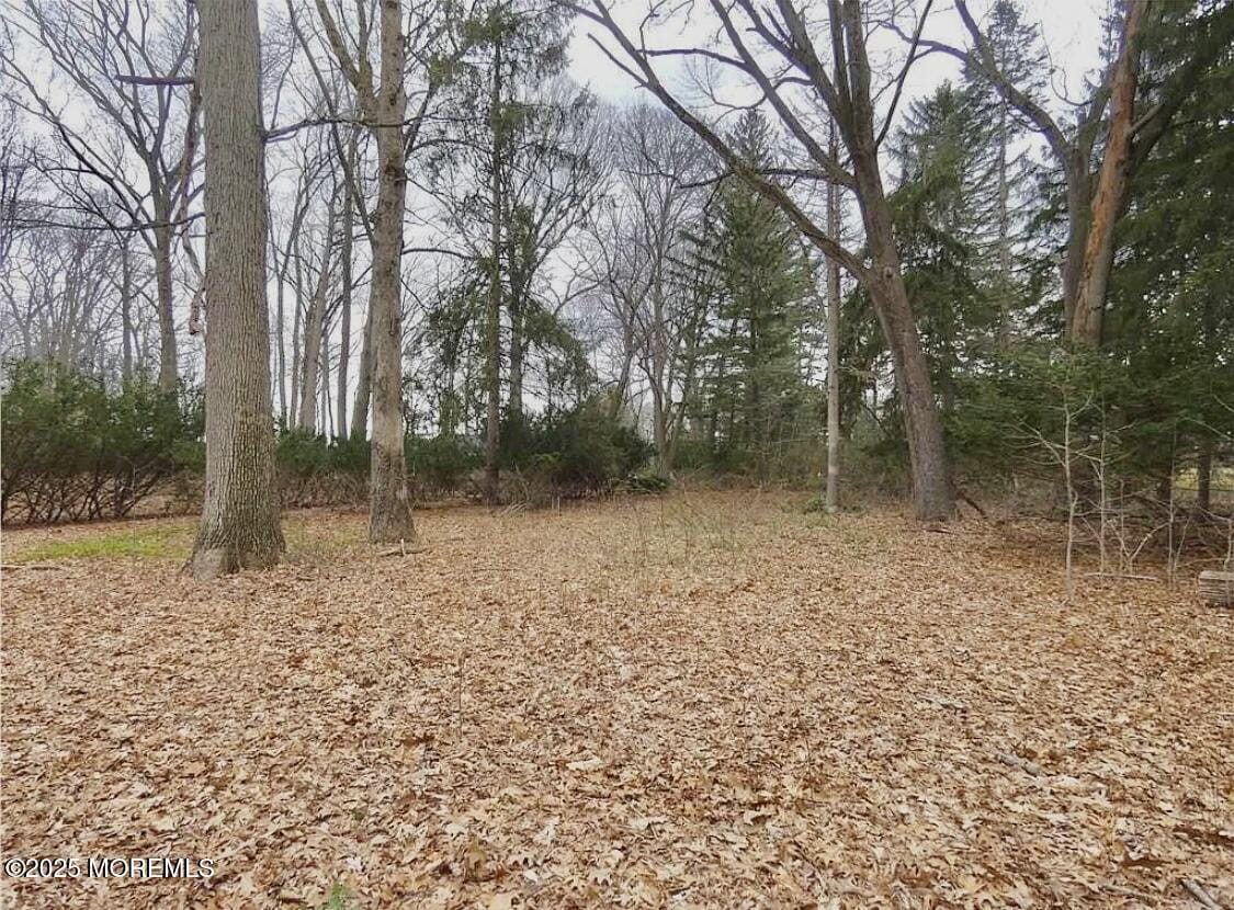 169 Applegarth Road, Monroe, NJ, 08831 image 39