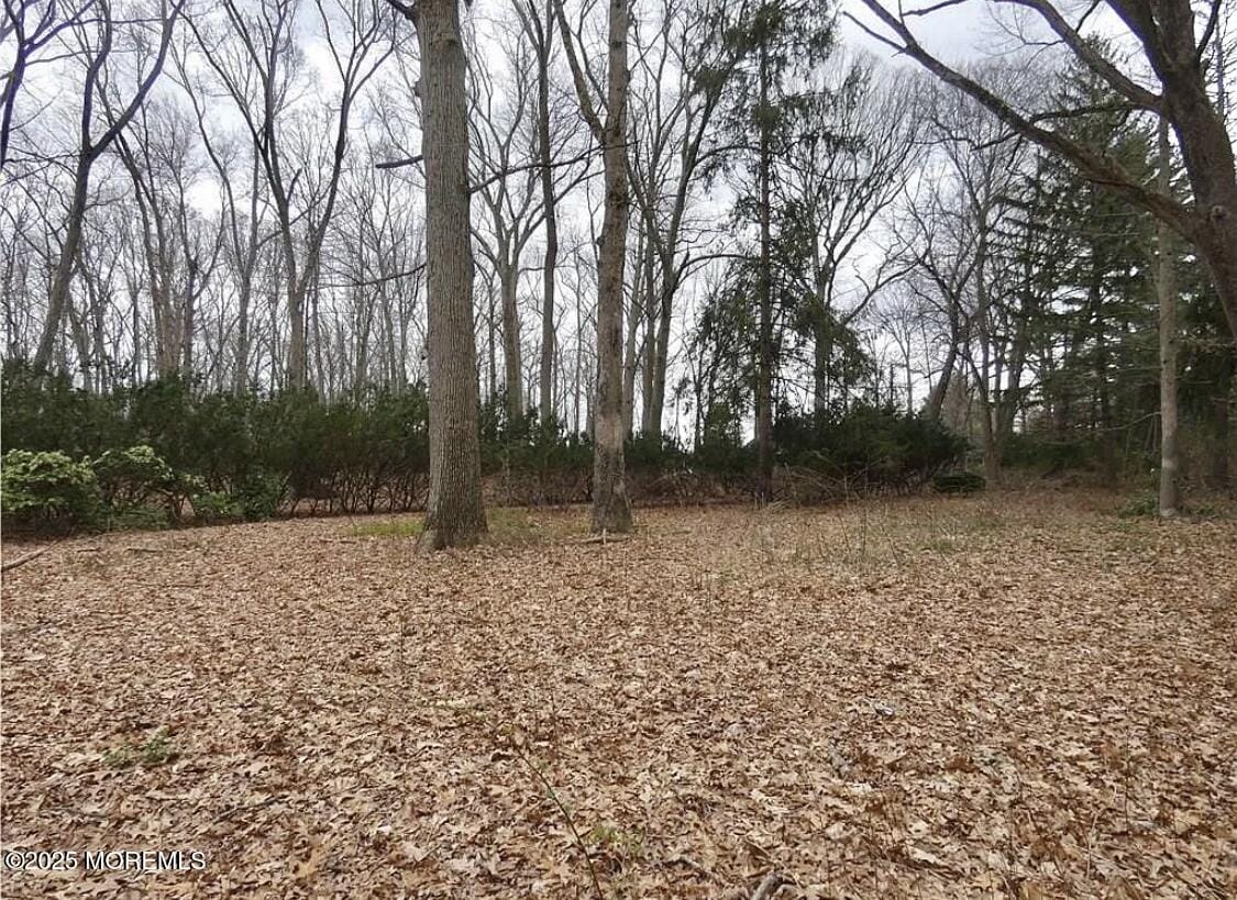 169 Applegarth Road, Monroe, NJ, 08831 image 40