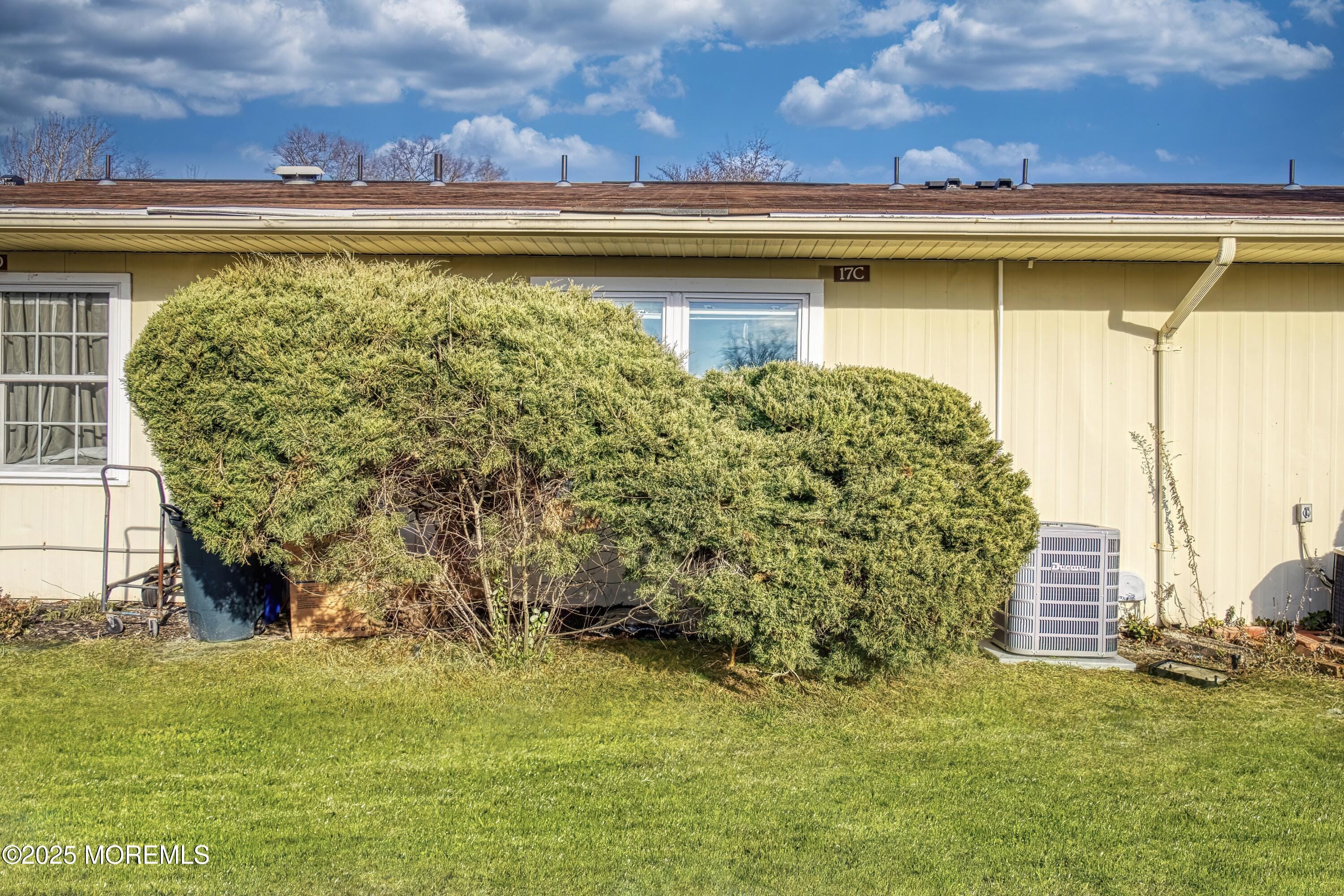 17C Sterling Street Image 5