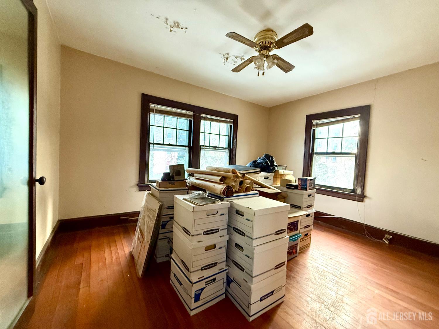 19 N Adelaide Avenue, Highland Park, NJ, 08904 image 14