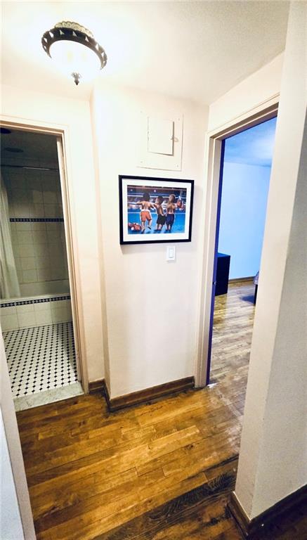 1237 Avenue Z 3S, Brooklyn, New York, 11235 image 8