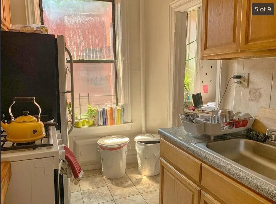 354 Rutland Road, Prospect-Lefferts Gardens, New York, 11225 image 42