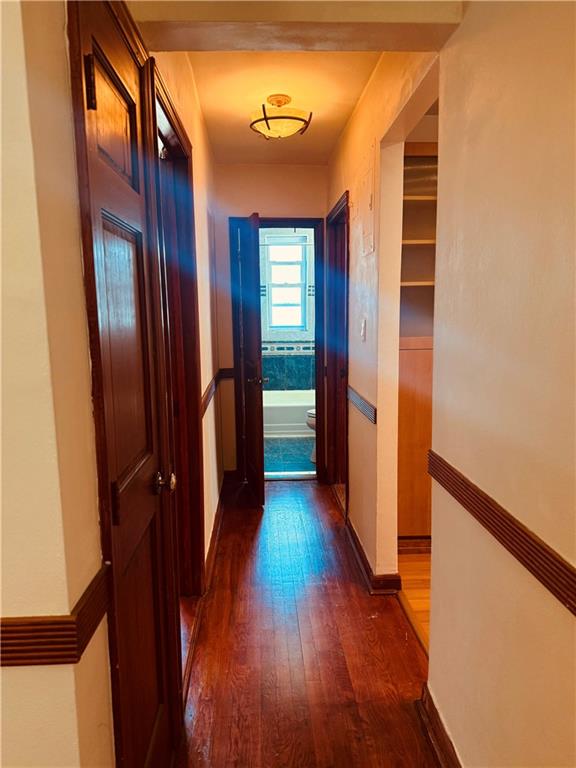 3203 Nostrand Avenue 5T, Brooklyn, New York, 11229 image 11