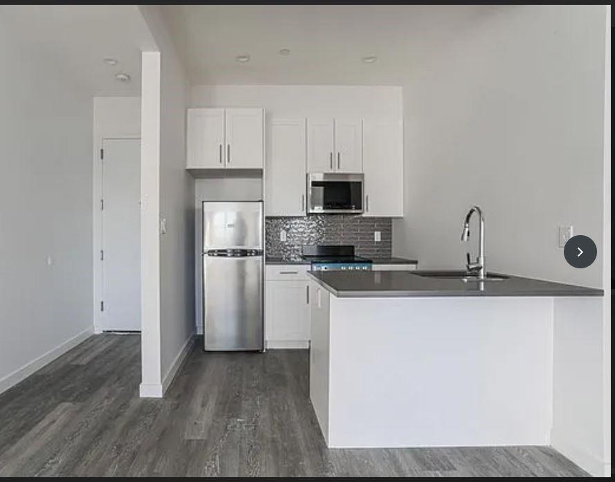 1709 Park Place, Brooklyn, New York, 11233 image 11