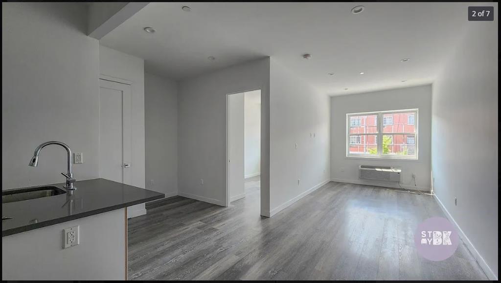 1709 Park Place, Brooklyn, New York, 11233 image 16