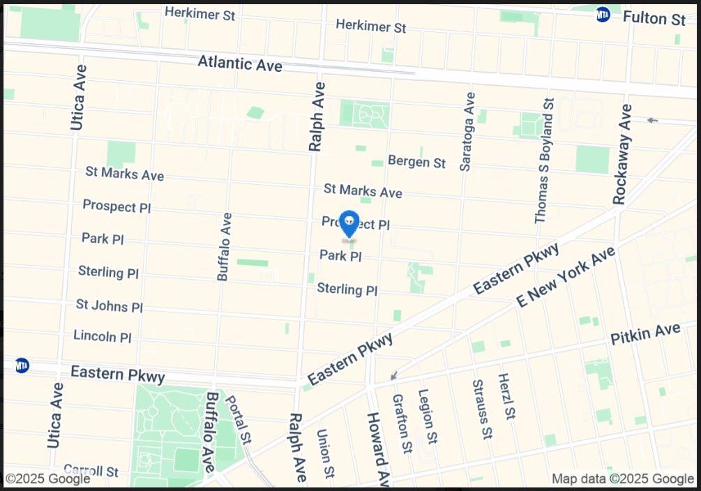 1709 Park Place, Brooklyn, New York, 11233 image 23