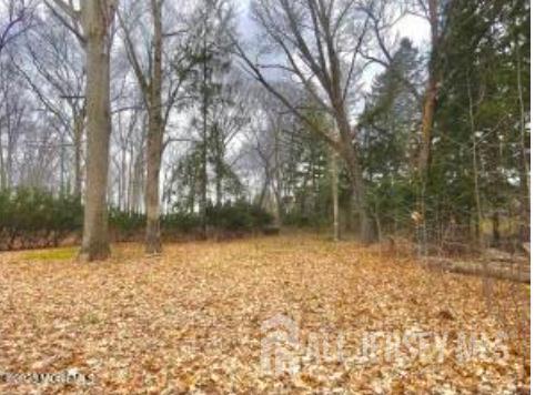 169 Applegarth Road, Monroe, NJ, 08831 image 85