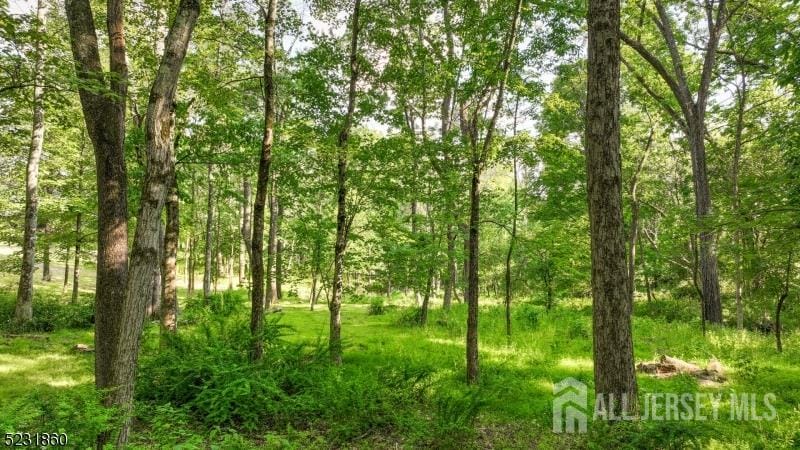 83 Readington Road, Whitehouse Station, NJ, 08889 image 9