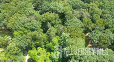 169 Applegarth Road, Monroe, NJ, 08831 image 83