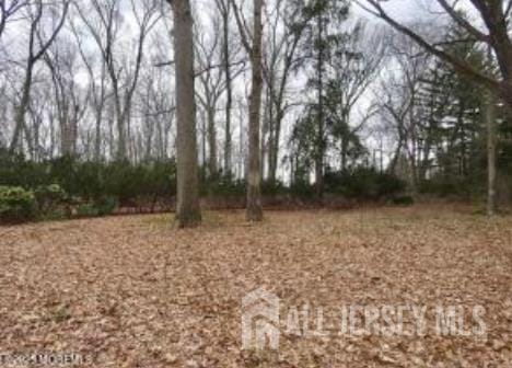 169 Applegarth Road, Monroe, NJ, 08831 image 84