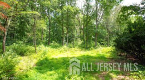 169 Applegarth Road, Monroe, NJ, 08831 image 82