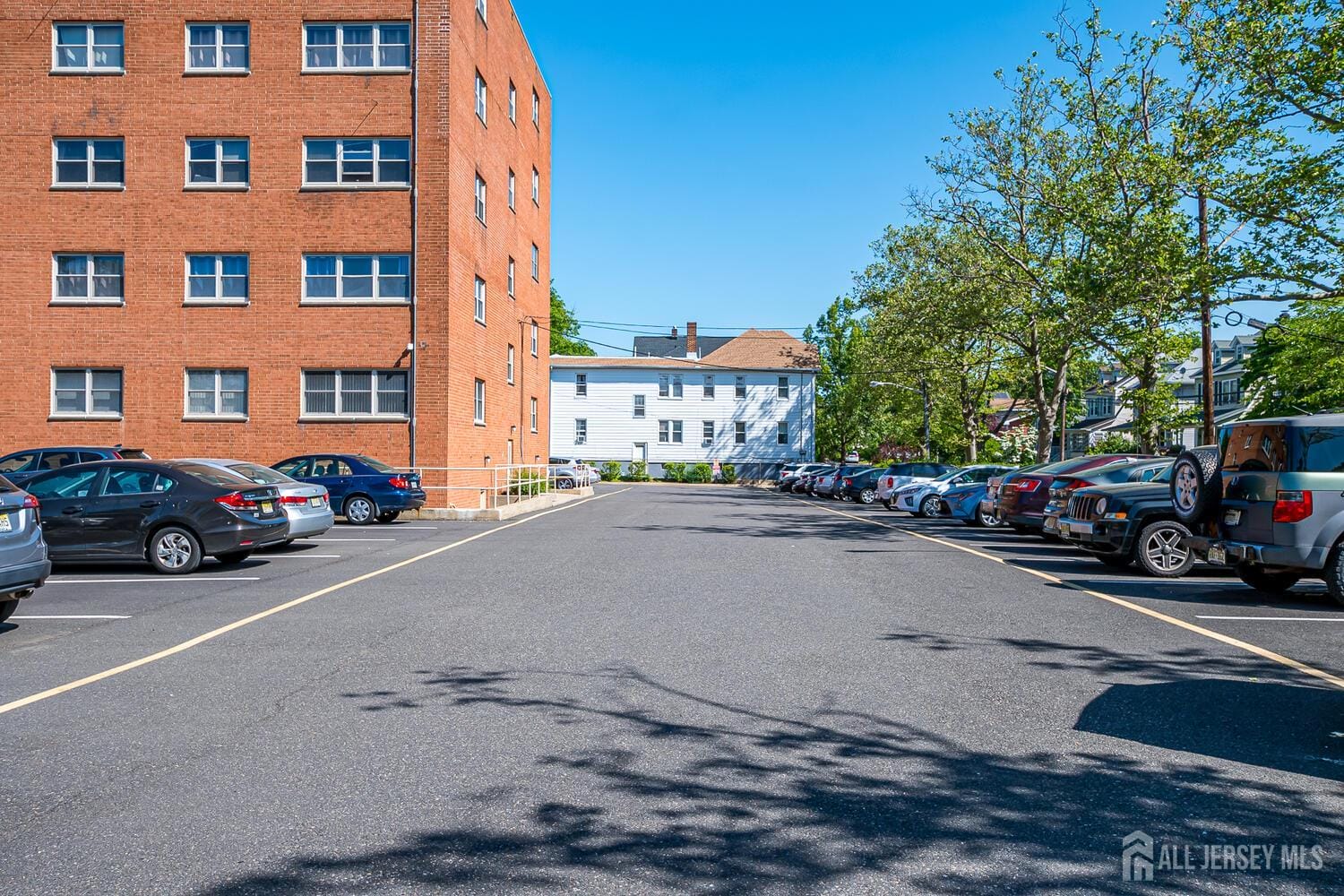 123 S Adelaide Avenue 5N, Highland Park, NJ, 08904 image 13