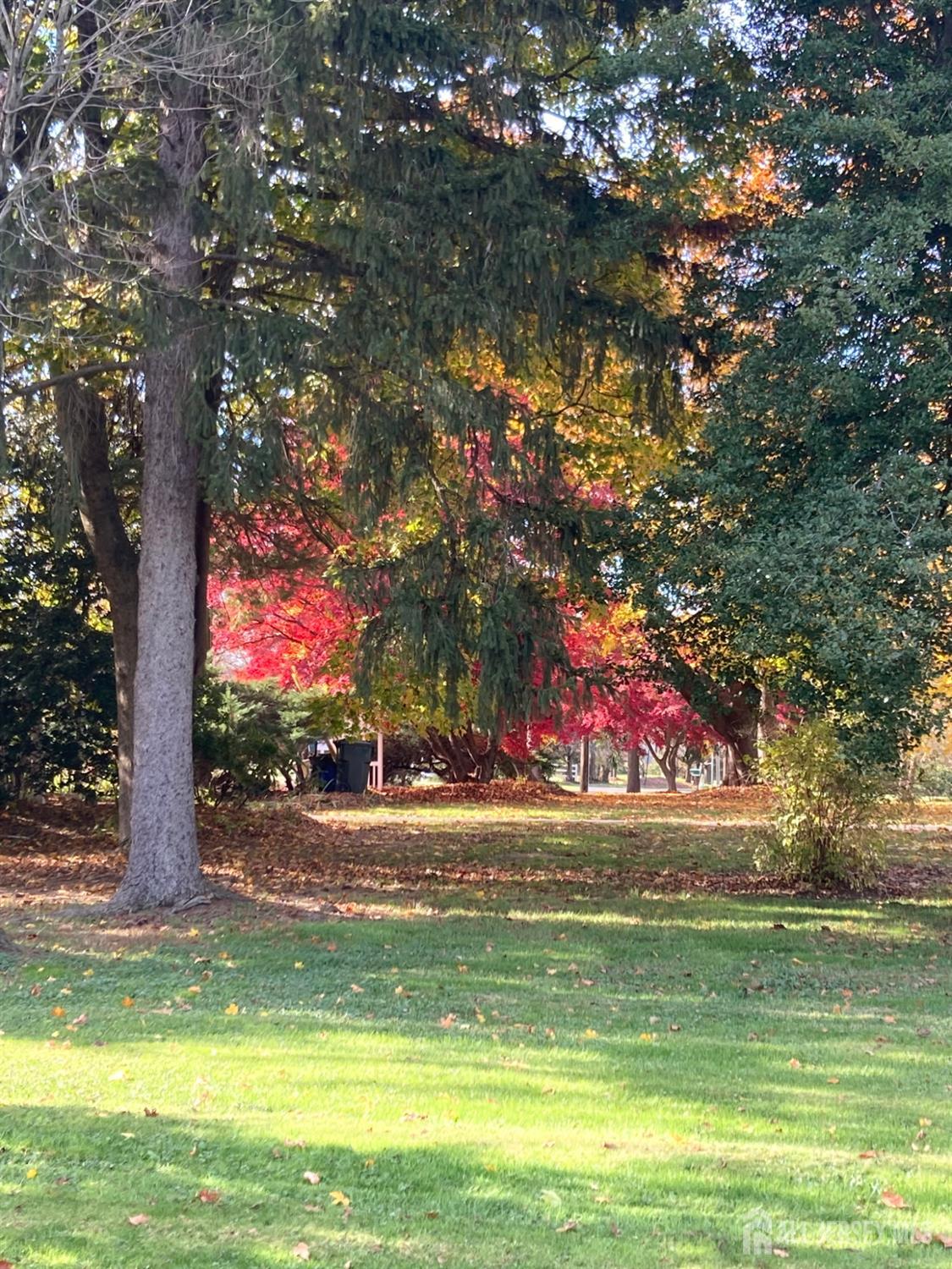 77 Petty Road, Cranbury, NJ, 08512 image 7