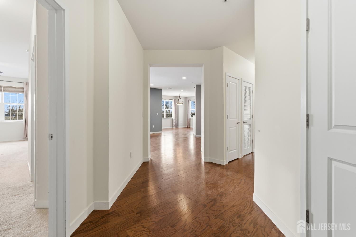 238 Luca Drive, Piscataway, NJ, 08854 image 20