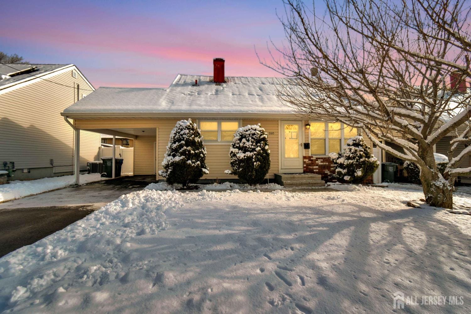 160 Brown Avenue Image 1