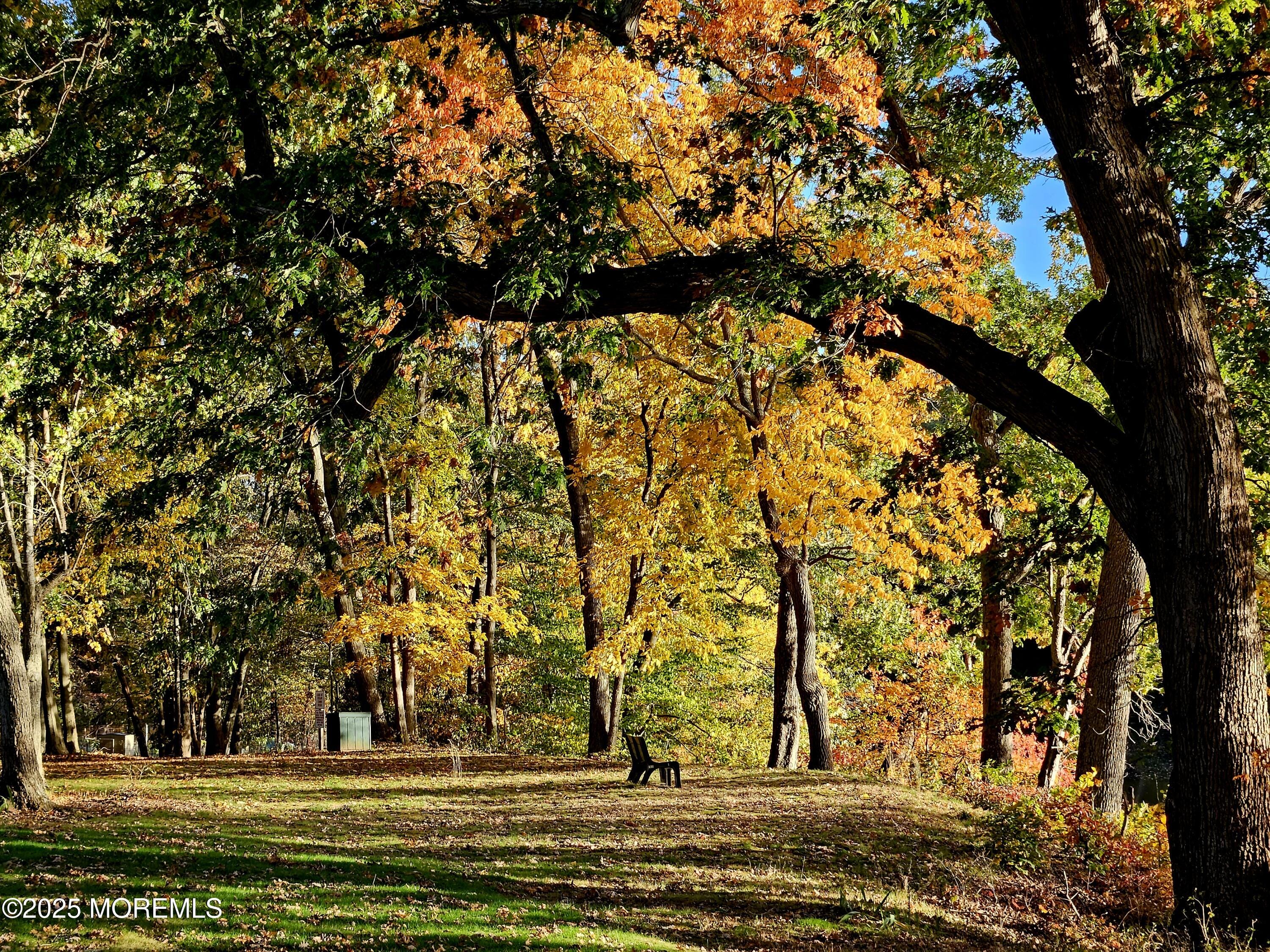 12 Ellsworth Court, Red Bank, NJ, 07701 image 47