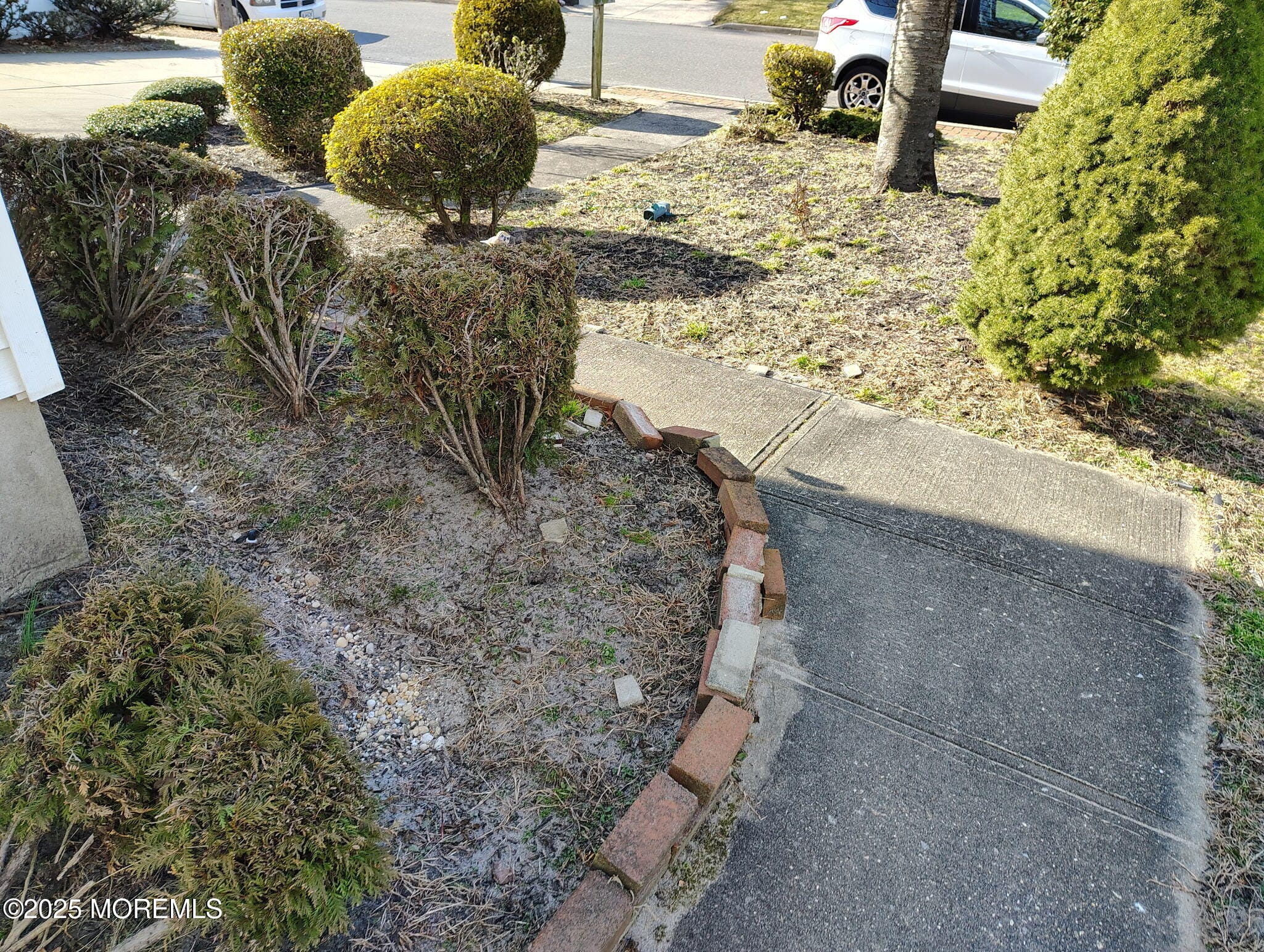 1822 S M Street, West Belmar, NJ, 07719 image 15