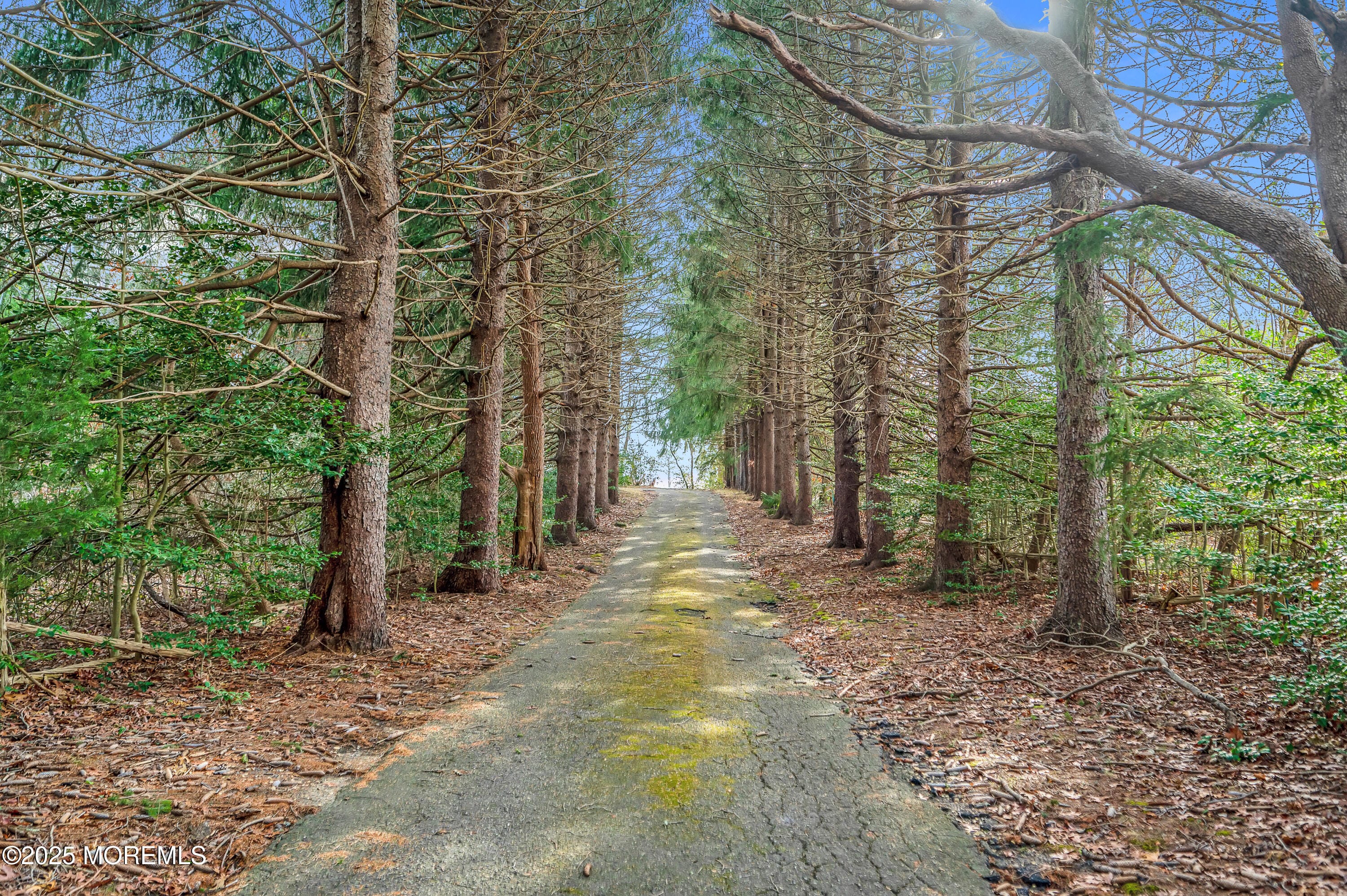 920 Ridge Road Image 2