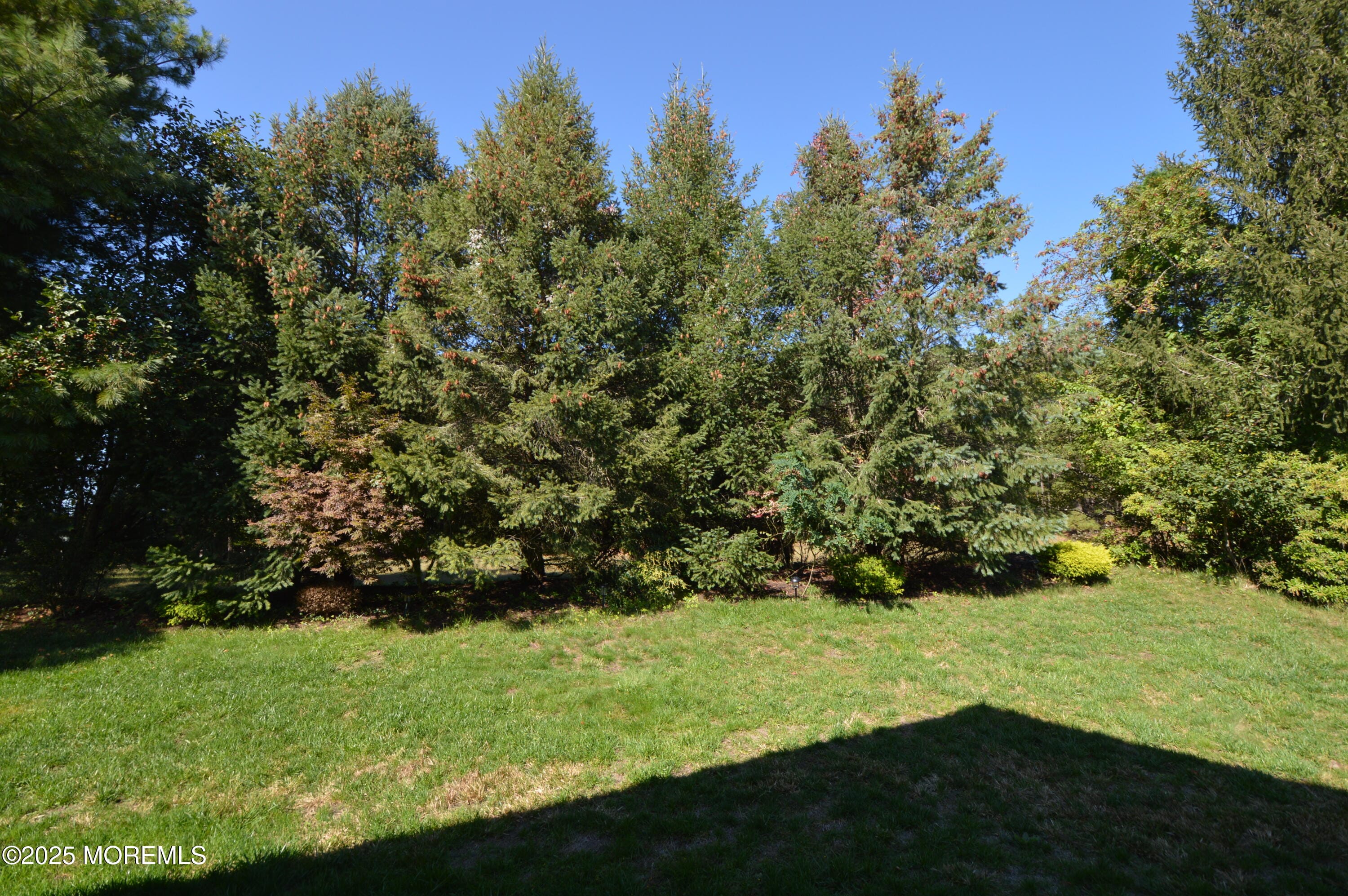 2506 Woodbine Lane, Toms River, NJ, 08755 image 47