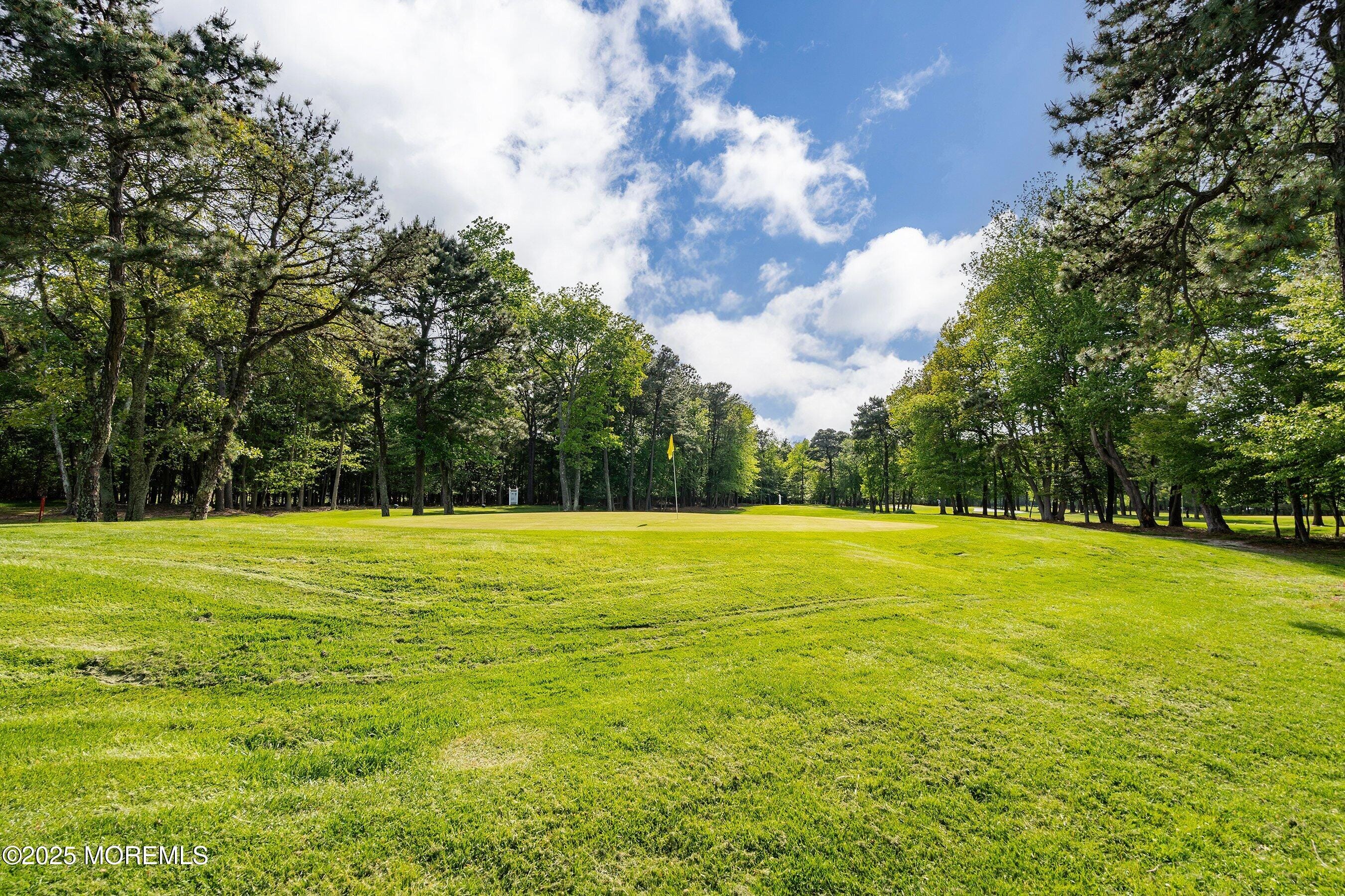 98 Yorkwood Drive, Brick, NJ, 08723 image 41