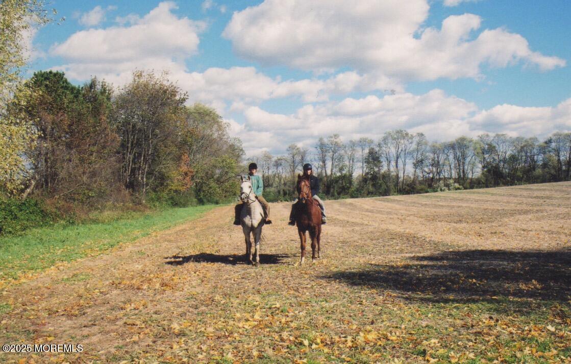 14 Homestead Lane, Roosevelt, NJ, 08555 image 18