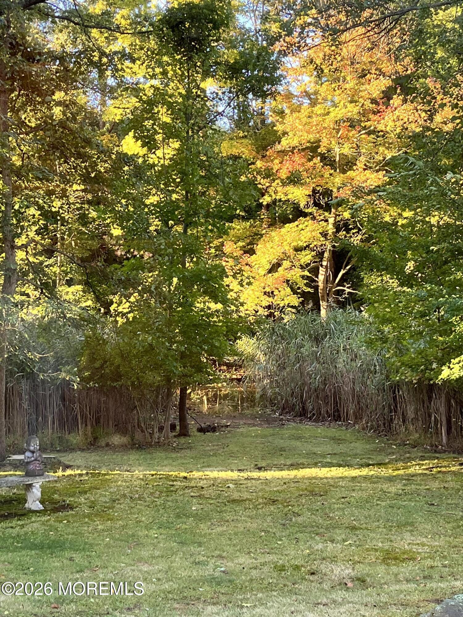 162 Queens Drive, Little Silver, NJ, 07739 image 28