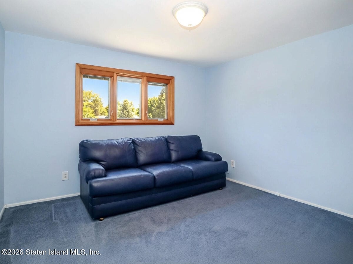 489 Oakdale Street, Staten Island, NY, 10312 image 19