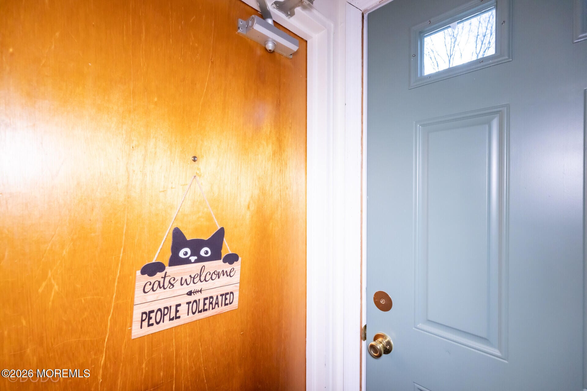 187 Evergreen Road 4b, Edison, NJ, 08837 image 11