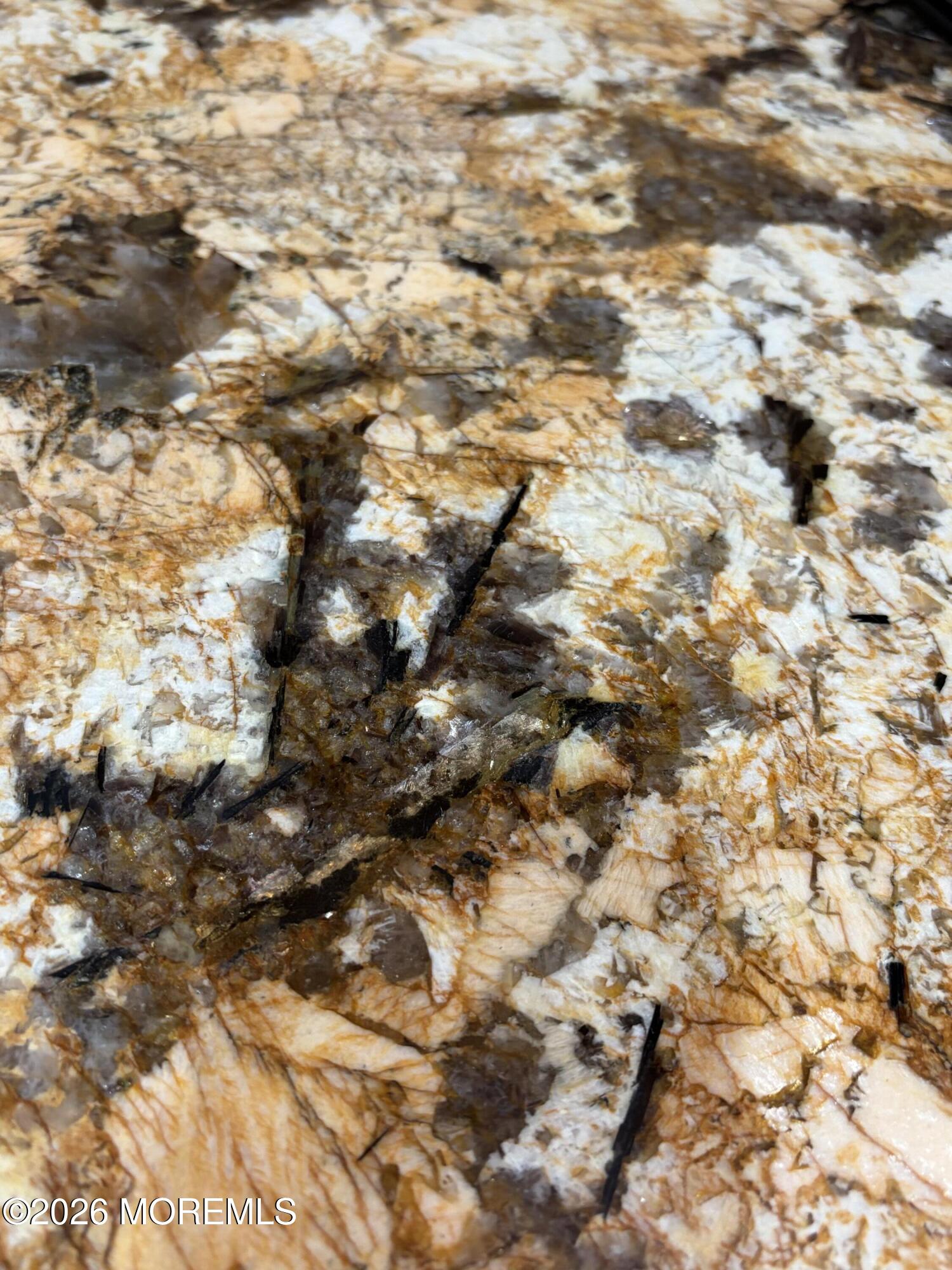 177 Cedar Swamp Road, Jackson, NJ, 08527 image 8