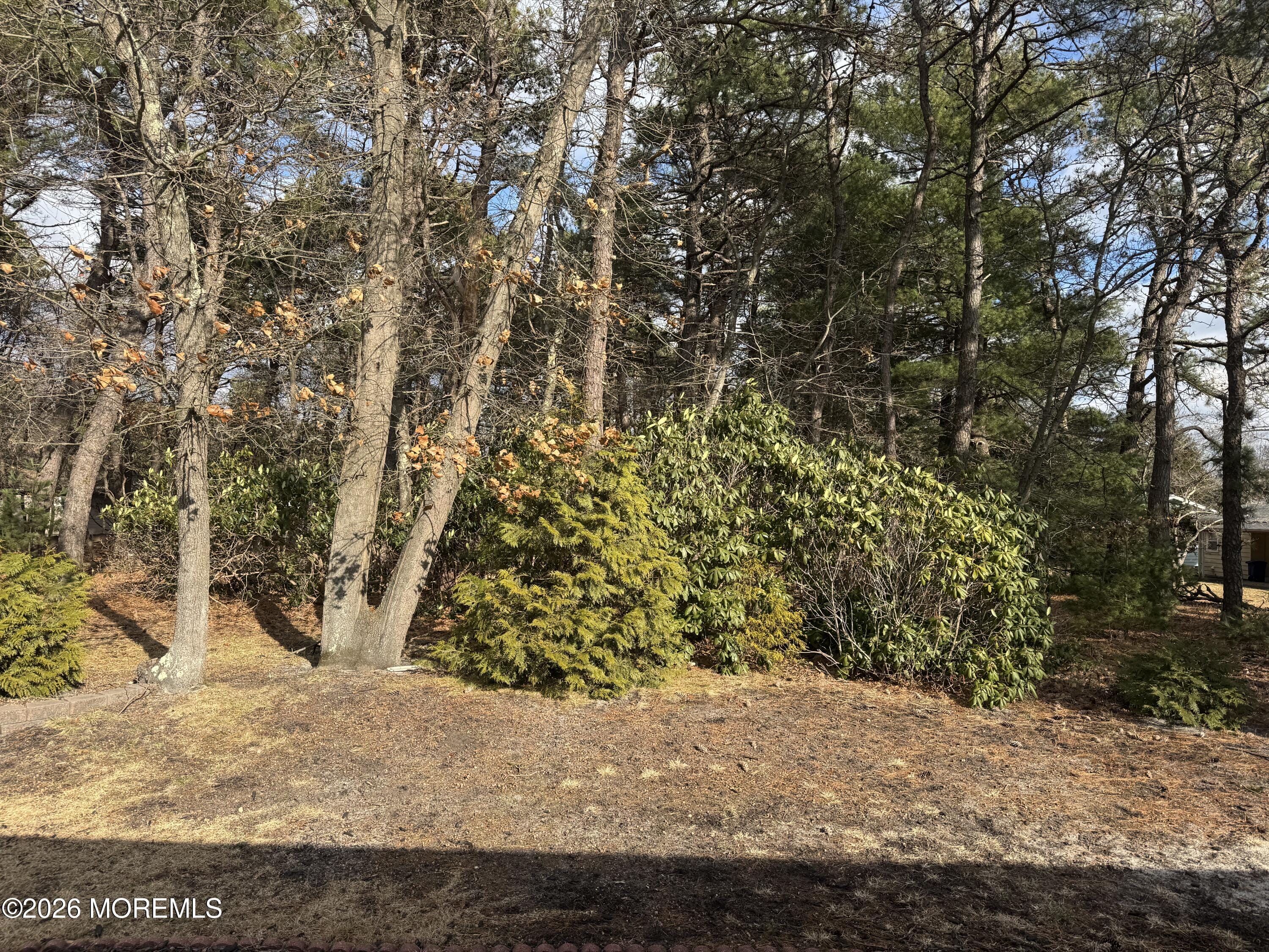 56 Constitution Boulevard 56, Whiting, NJ, 08759 image 23