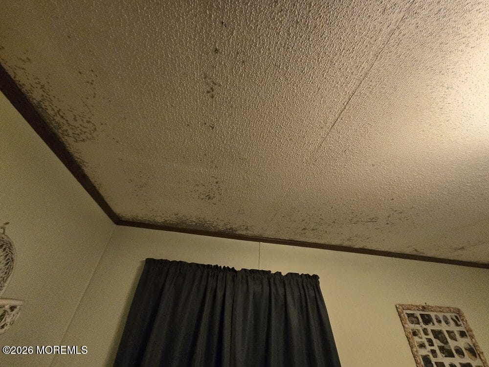 149 Brighton Road, Barnegat, NJ, 08005 image 7