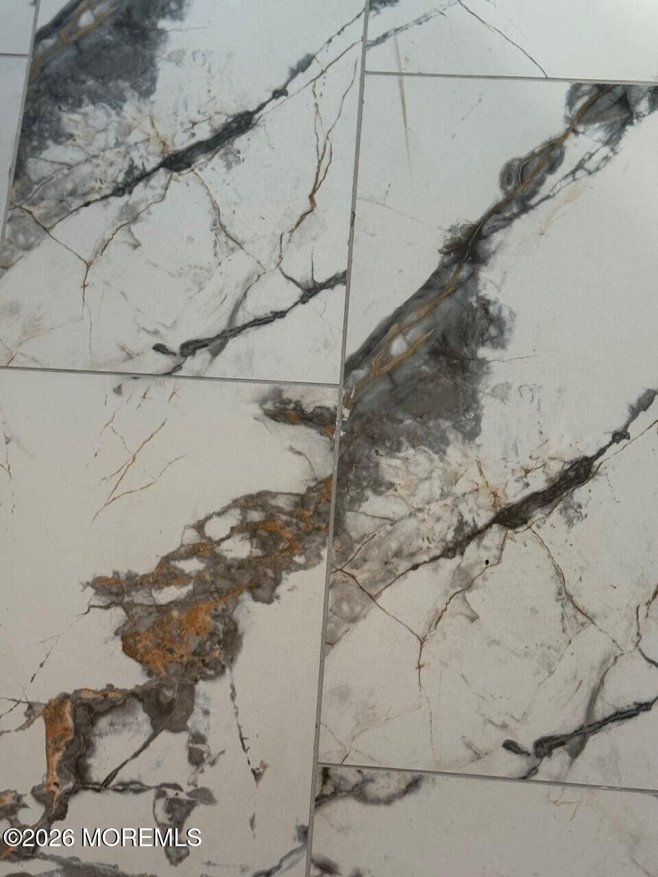 176 Charlotteville Drive, Toms River, NJ, 08757 image 19