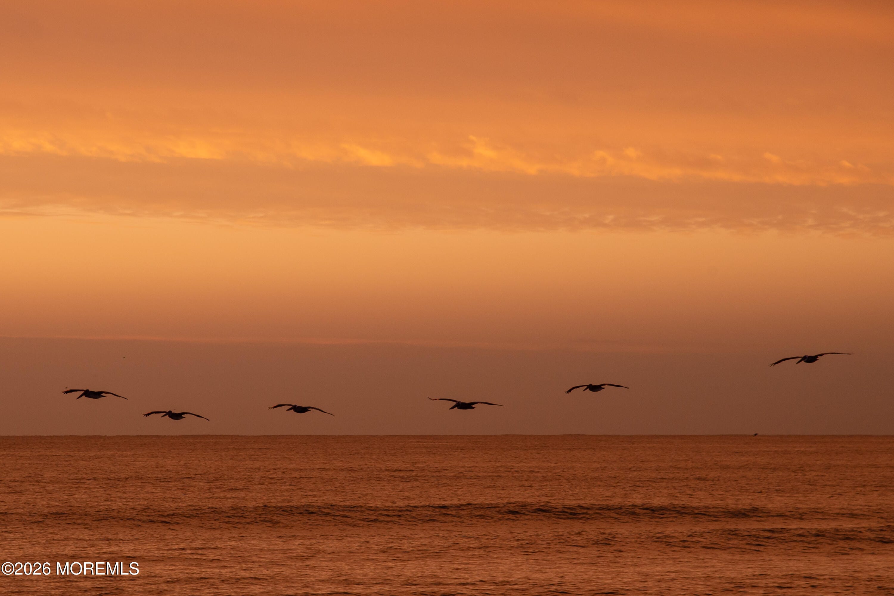 39 Sampson Avenue 1, Seaside Heights, NJ, 08751 image 6