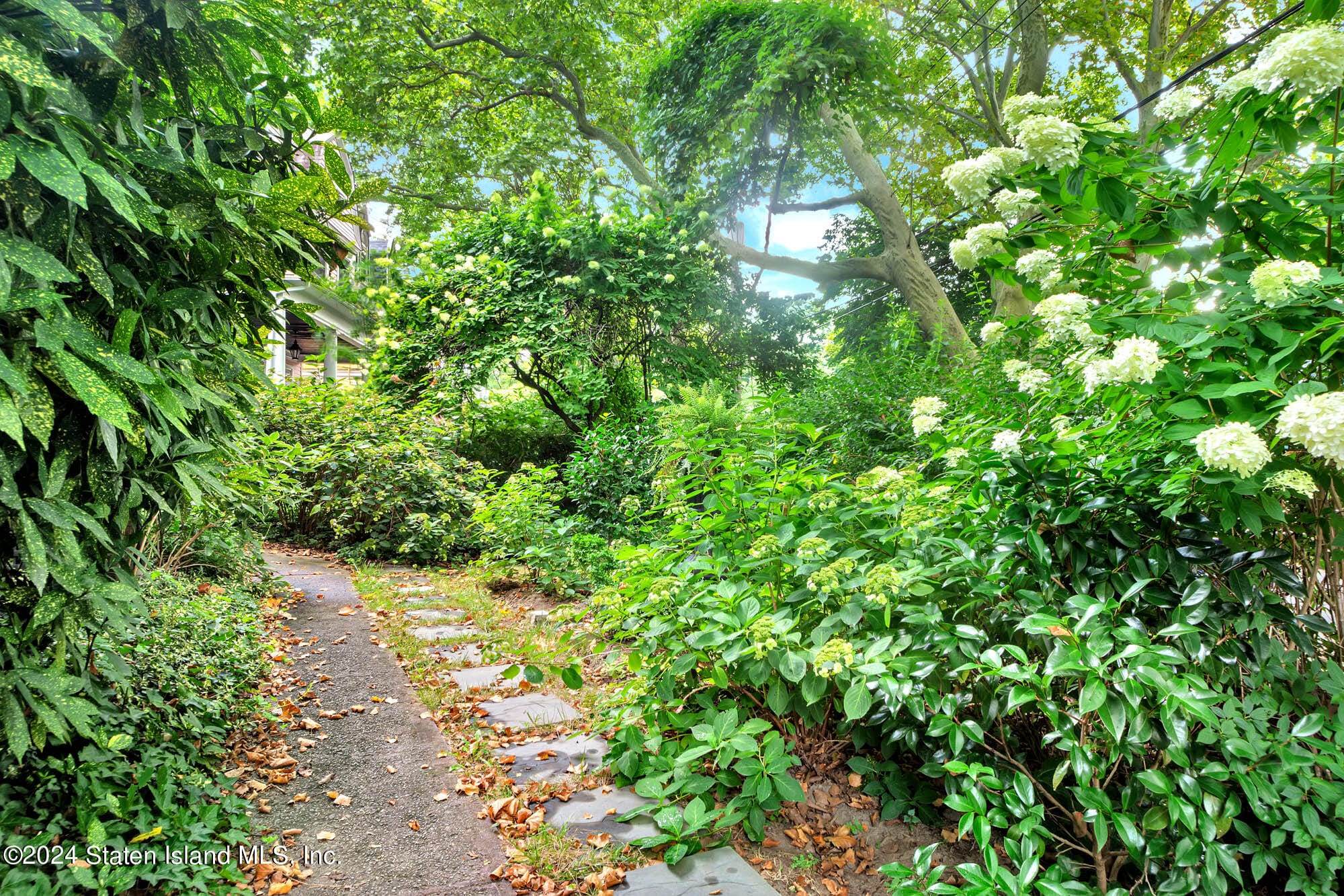 117 Tysen Street, Staten Island, NY, 10301 image 13