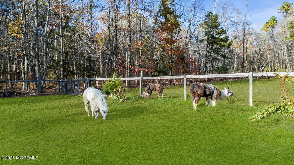 17 Sunnyside Road Image 5