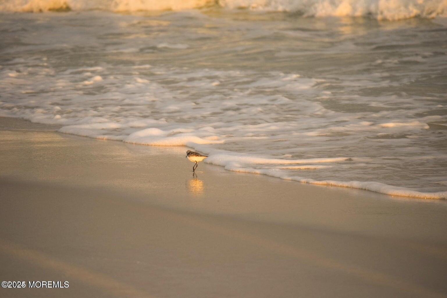 401 Boulevard 204, Seaside Heights, NJ, 08751 image 36