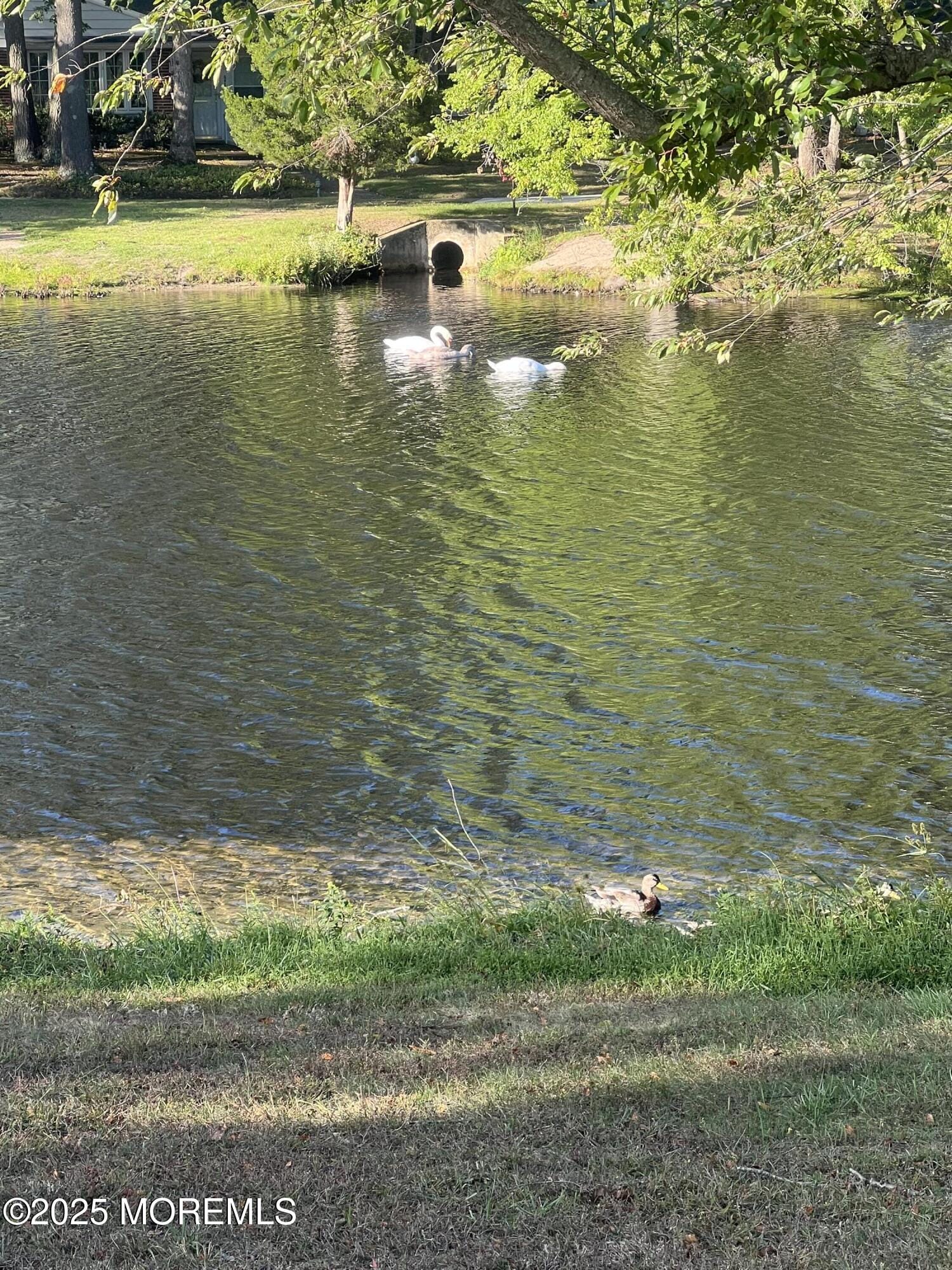 397A Chesterfield Court, Lakewood, NJ, 08701 image 36