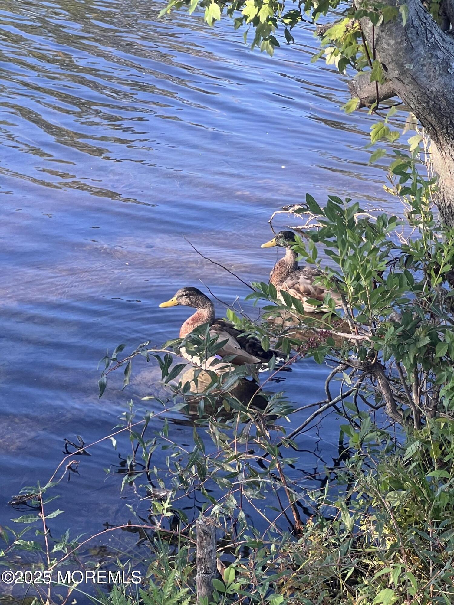 397A Chesterfield Court, Lakewood, NJ, 08701 image 34