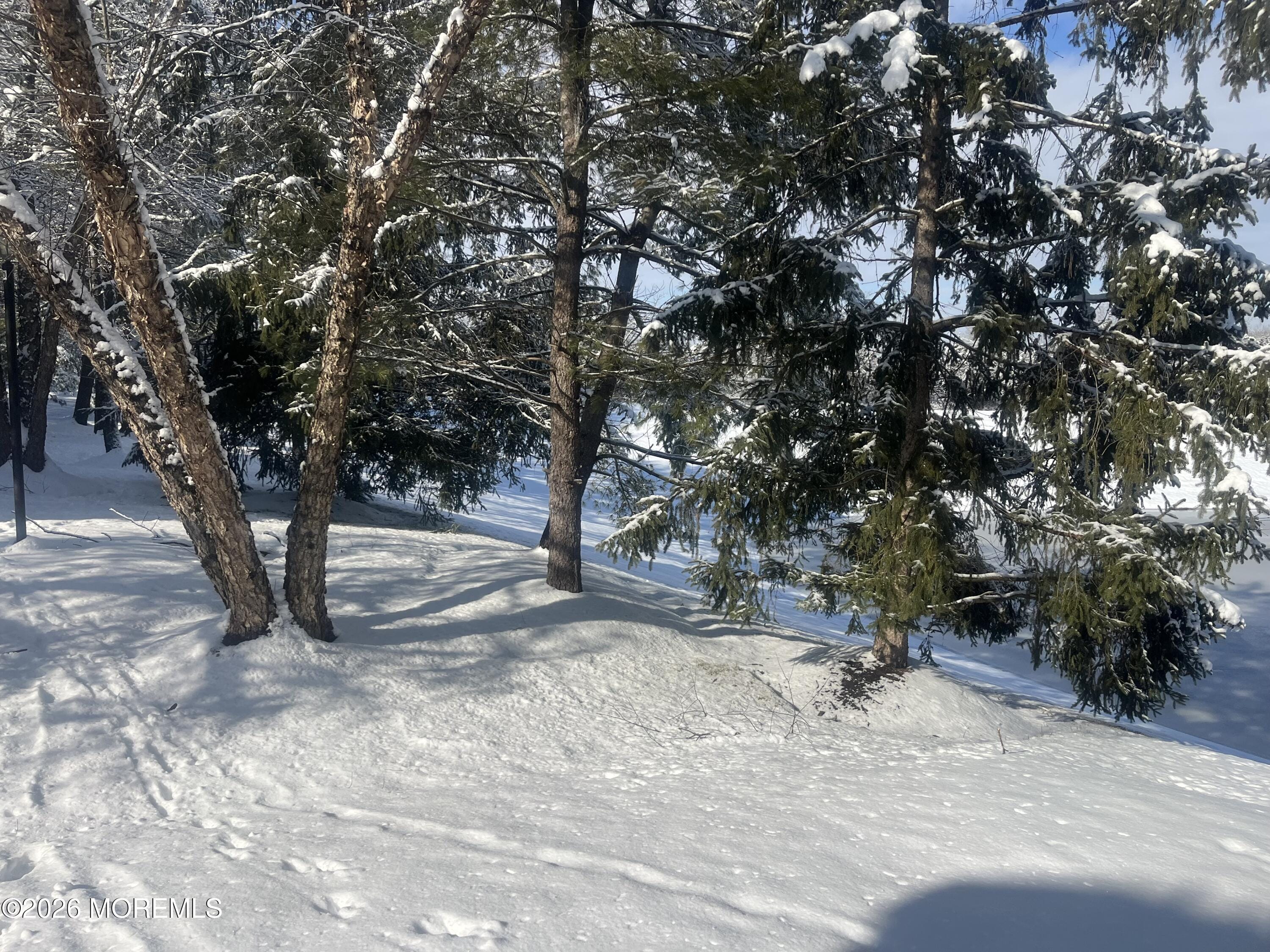 18 Birchwood Road, Bedminster, NJ, 07921