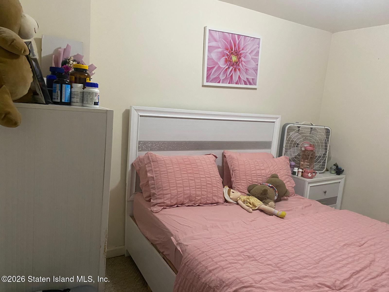 41 Giacomo Lane, Staten Island, NY, 10310 image 21