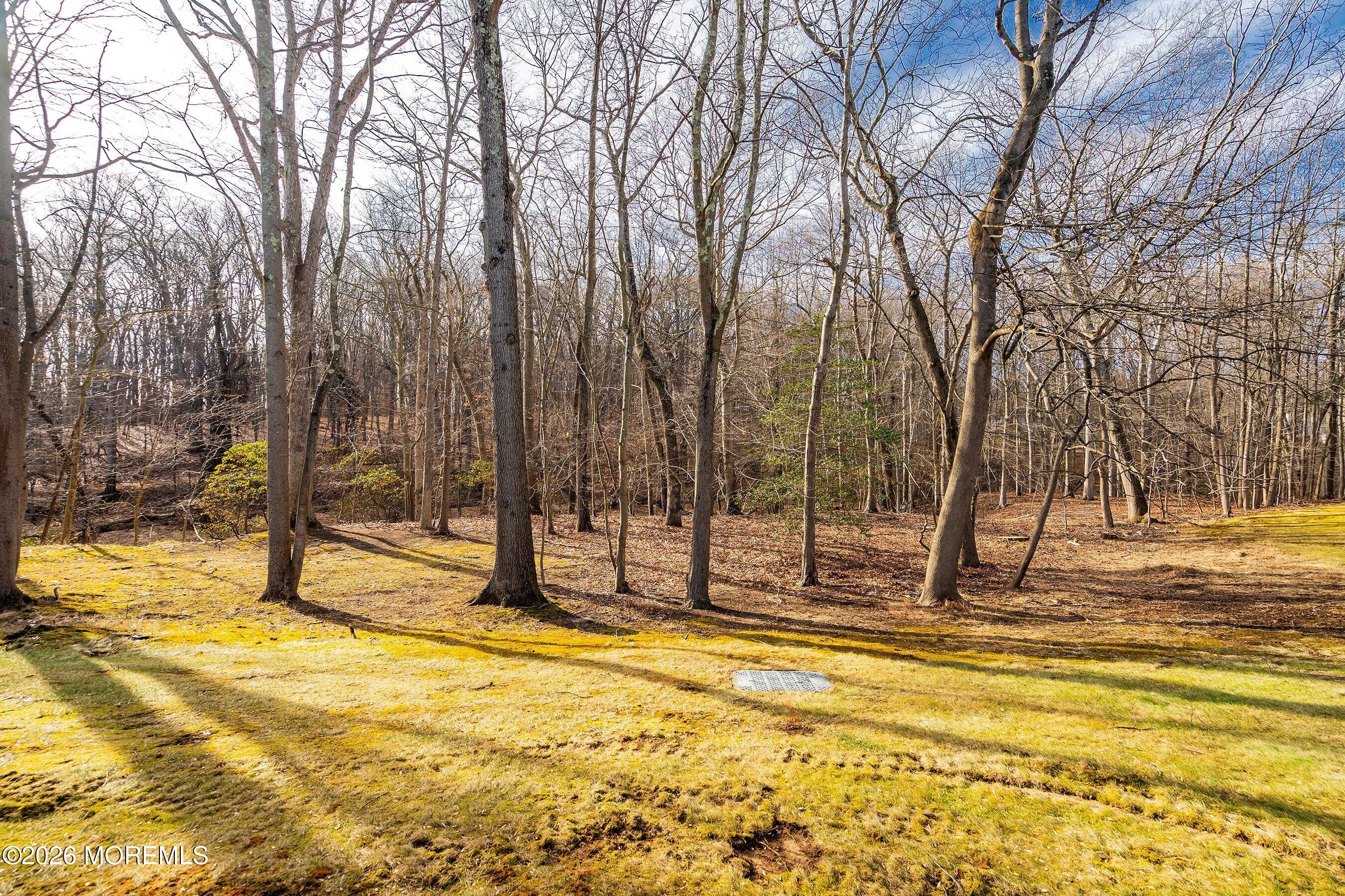 41 Western Reach, Red Bank, NJ, 07701 image 40