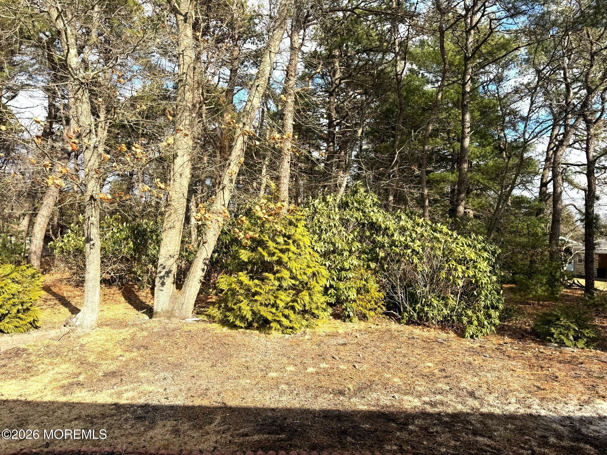 56 Constitution Boulevard 56, Whiting, NJ, 08759 image 18